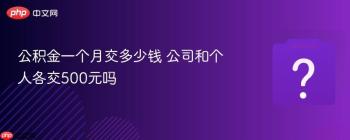 公积金一个月交多少钱 公司和个人各交500元吗