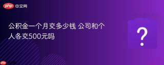 公积金一个月交多少钱 公司和个人各交500元吗