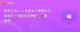 如何让Win11系统永久停留在当前版本？彻底关闭更新的实操案例