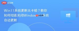 Win11系统更新太卡顿？教你如何彻底关闭Windows11系统自动更新