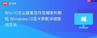 Win10怎么查看显存是哪家的颗粒 Windows10显卡参数详细查询方法