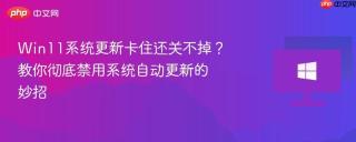 Win11系统更新卡住还关不掉？教你彻底禁用系统自动更新的妙招