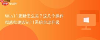 Win11更新怎么关？这几个操作彻底杜绝Win11系统自动升级