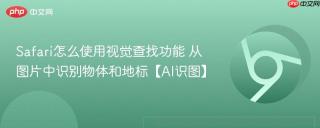 safari怎么使用视觉查找功能 从图片中识别物体和地标【ai识图】