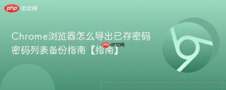 chrome浏览器怎么导出已存密码 密码列表备份指南【指南】
