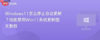 Windows11怎么停止自动更新？彻底禁用Win11系统更新图文教程