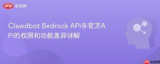 clawdbot bedrock api与官方api的权限和功能差异详解