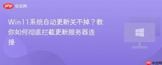 Win11系统自动更新关不掉？教你如何彻底拦截更新服务器连接