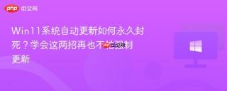Win11系统自动更新如何永久封死？学会这两招再也不怕强制更新