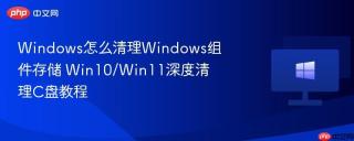 Windows怎么清理Windows组件存储 Win10/Win11深度清理C盘教程