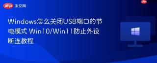 Windows怎么关闭USB端口的节电模式 Win10/Win11防止外设断连教程