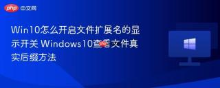 win10怎么开启文件扩展名的显示开关 windows10查看文件真实后缀方法