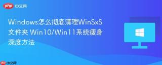 Windows怎么彻底清理WinSxS文件夹 Win10/Win11系统瘦身深度方法