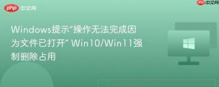 windows提示“操作无法完成因为文件已打开” win10/win11强制删除占用
