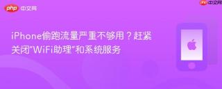iPhone偷跑流量严重不够用？赶紧关闭“WiFi助理”和系统服务