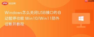Windows怎么关闭USB接口的自动暂停功能 Win10/Win11防外设断开教程