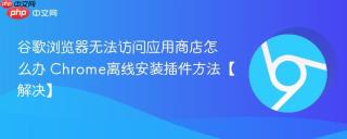 谷歌浏览器无法访问应用商店怎么办 Chrome离线安装插件方法【解决】