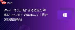 Win11怎么开启“自动超级分辨率(Auto SR)” Windows11提升游戏画质教程