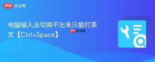 电脑输入法切换不出来只能打英文【Ctrl+Space】