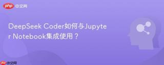 DeepSeek Coder如何与Jupyter Notebook集成使用？