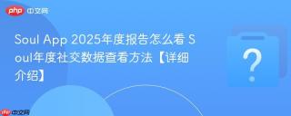 Soul App 2025年度报告怎么看 Soul年度社交数据查看方法【详细介绍】