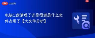 电脑C盘清理了还是很满是什么文件占用了【大文件分析】