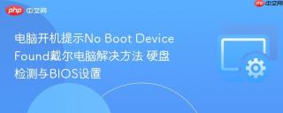 电脑开机提示No Boot Device Found戴尔电脑解决方法 硬盘检测与BIOS设置