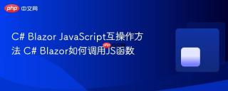 C# Blazor JavaScript互操作方法 C# Blazor如何调用JS函数