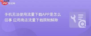 手机无法使用流量下载APP是怎么回事 应用商店流量下载限制解除