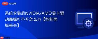 系统安装后NVIDIA/AMD显卡驱动面板打不开怎么办【控制面板丢失】