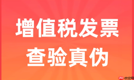 增值税发票怎么查询真伪 全国增值税发票查验平台使用方法【教程】