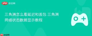 三角洲怎么看延迟和丢包 三角洲网络状态数据显示教程
