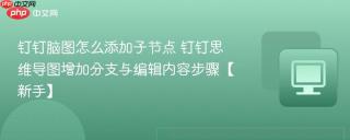 钉钉脑图怎么添加子节点 钉钉思维导图增加分支与编辑内容步骤【新手】