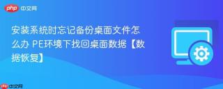 安装系统时忘记备份桌面文件怎么办 PE环境下找回桌面数据【数据恢复】