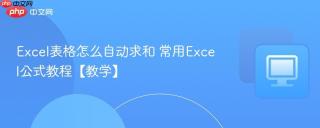 excel表格怎么自动求和 常用excel公式教程【教学】