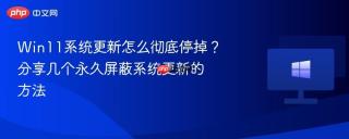 Win11系统更新怎么彻底停掉？分享几个永久屏蔽系统更新的方法