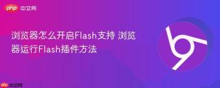 浏览器怎么开启flash支持 浏览器运行flash插件方法