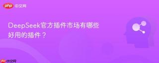 DeepSeek官方插件市场有哪些好用的插件？