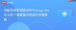 电脑系统密钥查询命令slmgr.vbs怎么用？查看激活信息的完整参数