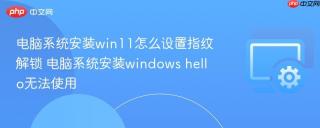 电脑系统安装win11怎么设置指纹解锁 电脑系统安装windows hello无法使用