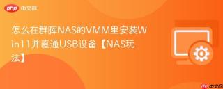 怎么在群晖nas的vmm里安装win11并直通usb设备【nas玩法】