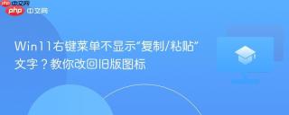 win11右键菜单不显示“复制/粘贴”文字?教你改回旧版图标