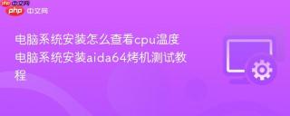 电脑系统安装怎么查看cpu温度 电脑系统安装aida64烤机测试教程