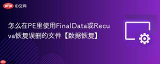怎么在PE里使用FinalData或Recuva恢复误删的文件【数据恢复】