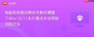 电脑系统激活剩余天数在哪查？Win10/11永久激活与试用版识别方法