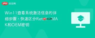 win11查看系统激活信息的详细步骤，快速区分retail、mak和oem密钥