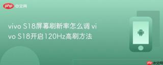 vivo S18屏幕刷新率怎么调 vivo S18开启120Hz高刷方法