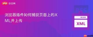 浏览器插件如何捕获页面上的xml并上传