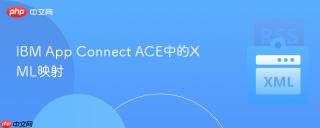 ibm app connect ace中的xml映射