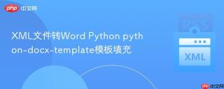 xml文件转word python python-docx-template模板填充